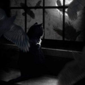 Meet your Posher, Chad